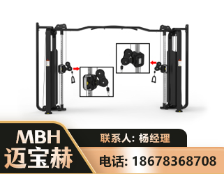 盘锦大飞鸟训练器