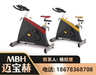 盘锦商用动感单车