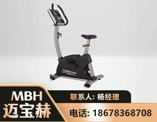 盘锦立式健身车